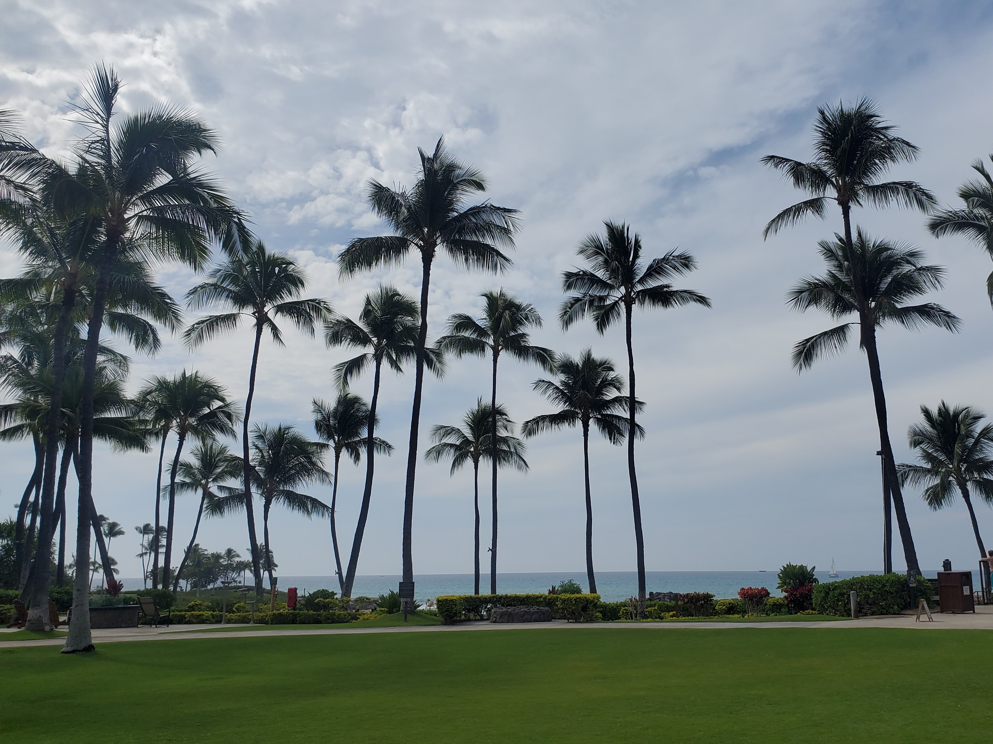 Hawaii Hotels & Resorts